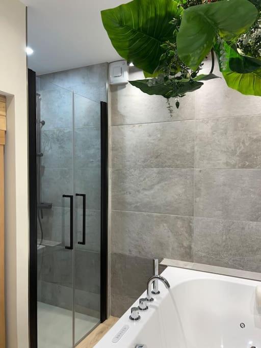 - Sauna Privatif Plein Centre Apartment Troyes