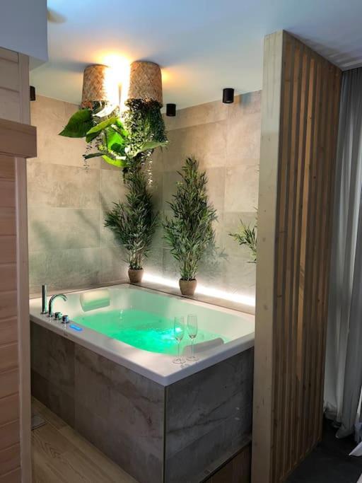 Apartment - Sauna Privatif Plein Centre