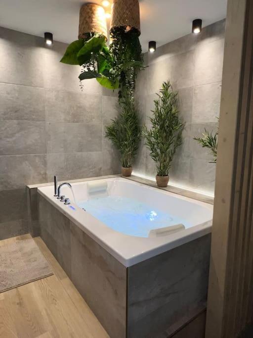 Apartment - Sauna Privatif Plein Centre Troyes