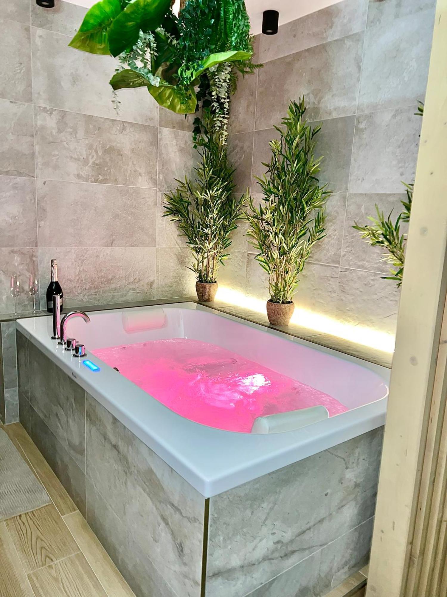 Apartment - Sauna Privatif Plein Centre Troyes